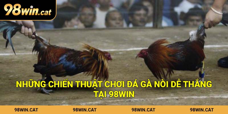 Những chiến thuật chơi đá gà nòi dễ thắng tại 98Win