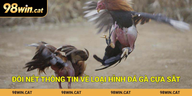 Đôi nét thông tin về loại hình đá gà cựa sắt
