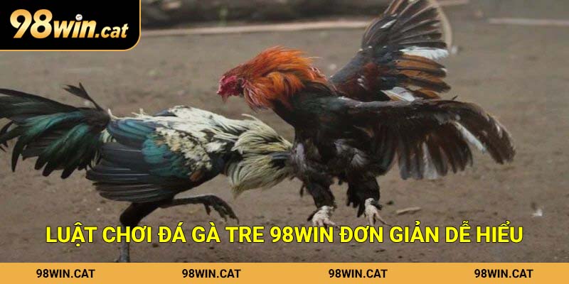Luật chơi đá gà tre 98Win đơn giản dễ hiểu