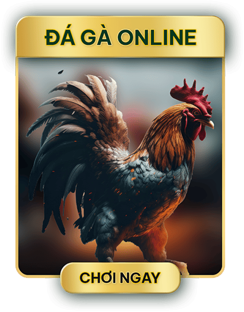 98Win Đá Gà